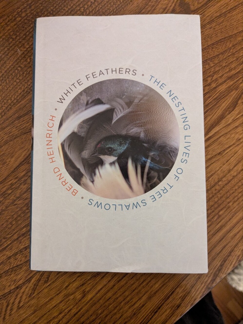 Hardcover White Feathers: The Nesting Lives Of Tree Swallows